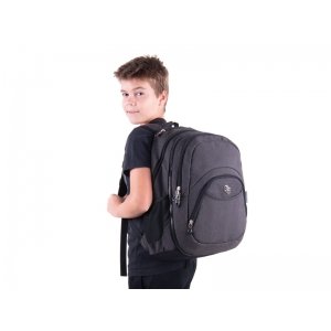 BACKPACK PULSE 2in1 GRAY CATIONIC